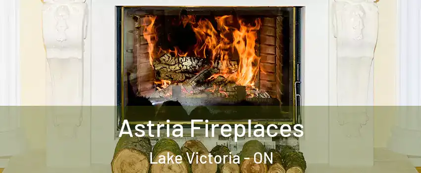  Astria Fireplaces Lake Victoria - ON
