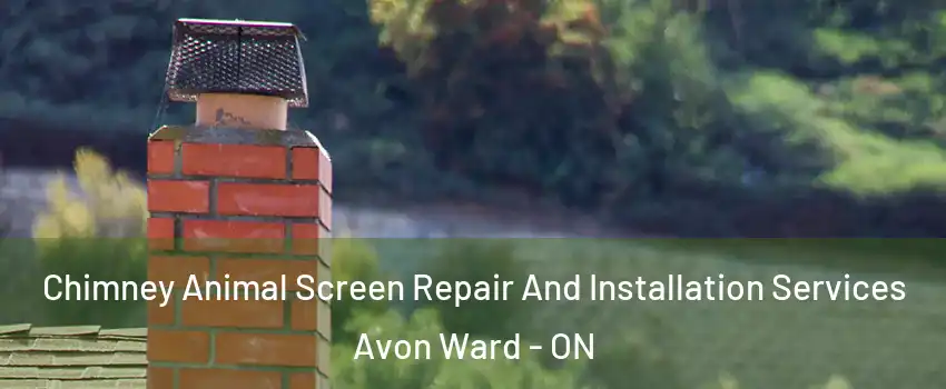  Chimney Animal Screen Repair And Installation Services Avon Ward - ON