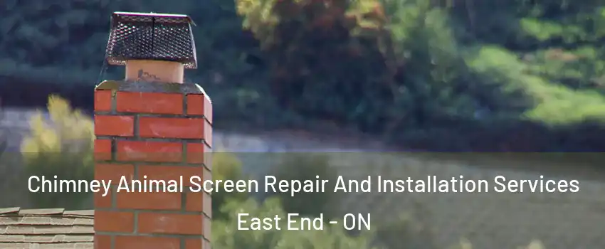  Chimney Animal Screen Repair And Installation Services East End - ON