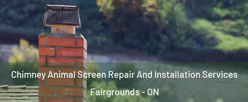  Chimney Animal Screen Repair And Installation Services Fairgrounds - ON