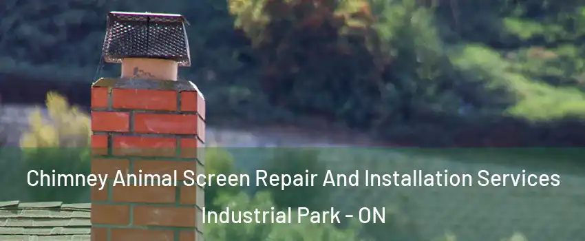  Chimney Animal Screen Repair And Installation Services Industrial Park - ON