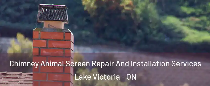  Chimney Animal Screen Repair And Installation Services Lake Victoria - ON