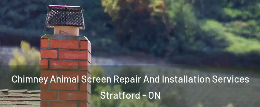  Chimney Animal Screen Repair And Installation Services Stratford - ON