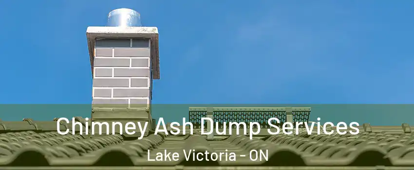  Chimney Ash Dump Services Lake Victoria - ON
