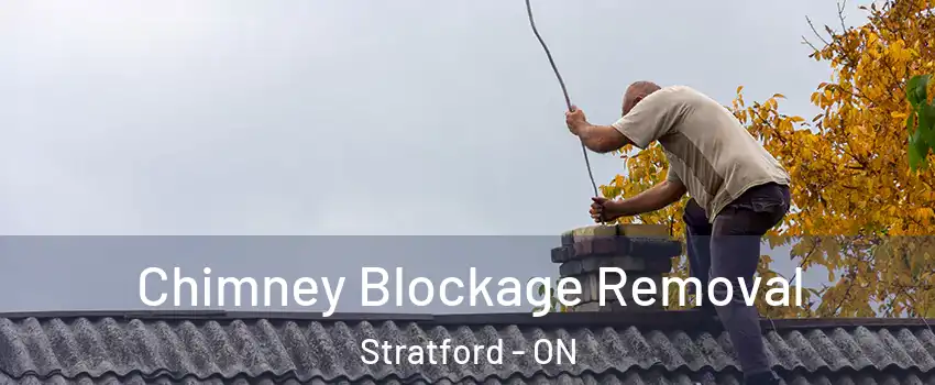  Chimney Blockage Removal Stratford - ON