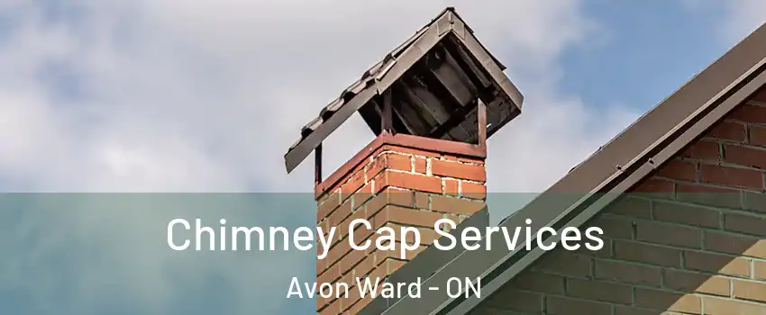  Chimney Cap Services Avon Ward - ON
