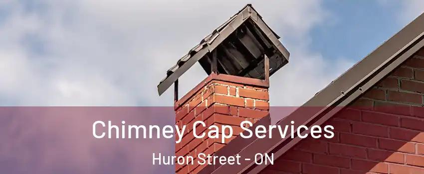  Chimney Cap Services Huron Street - ON