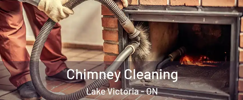  Chimney Cleaning Lake Victoria - ON