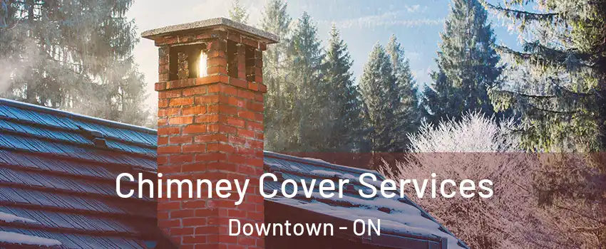  Chimney Cover Services Downtown - ON
