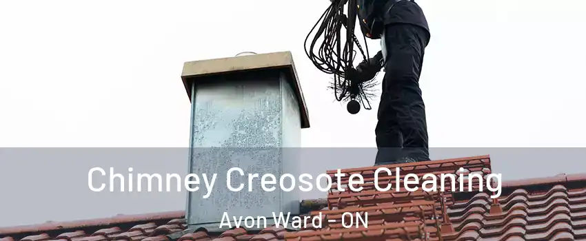  Chimney Creosote Cleaning Avon Ward - ON