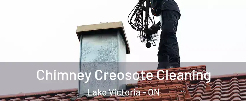  Chimney Creosote Cleaning Lake Victoria - ON