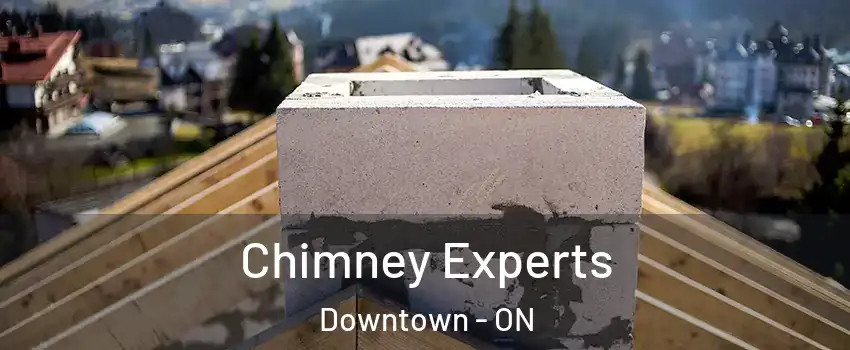  Chimney Experts Downtown - ON