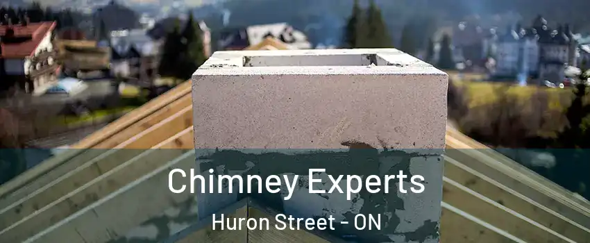  Chimney Experts Huron Street - ON