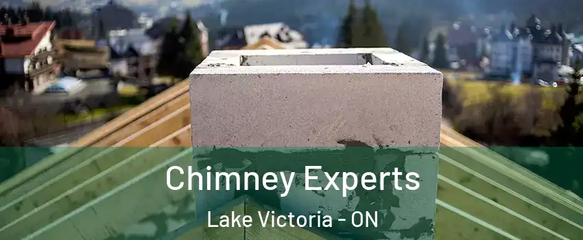  Chimney Experts Lake Victoria - ON