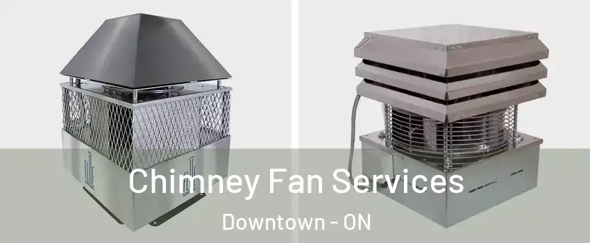  Chimney Fan Services Downtown - ON