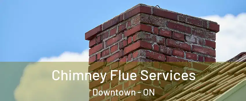  Chimney Flue Services Downtown - ON