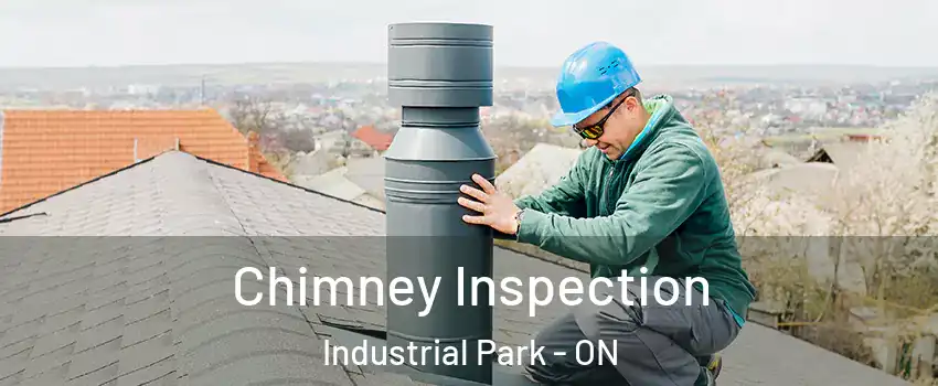 Chimney Inspection Industrial Park - ON