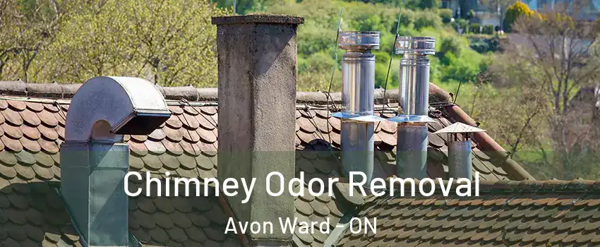  Chimney Odor Removal Avon Ward - ON