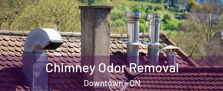  Chimney Odor Removal Downtown - ON