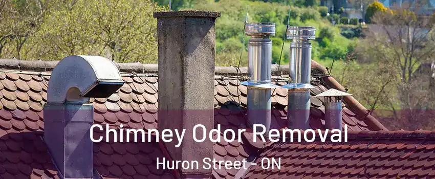  Chimney Odor Removal Huron Street - ON