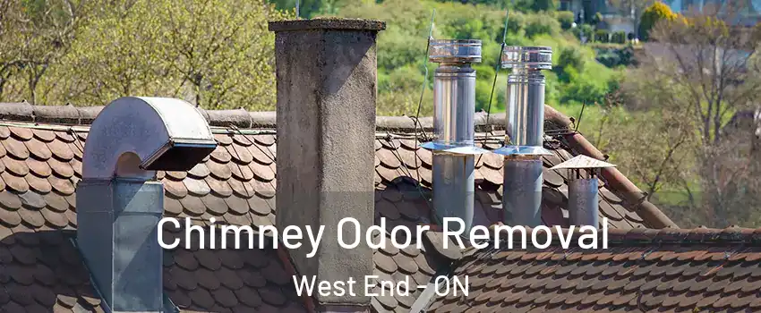  Chimney Odor Removal West End - ON