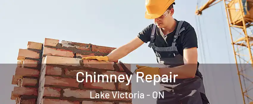  Chimney Repair Lake Victoria - ON