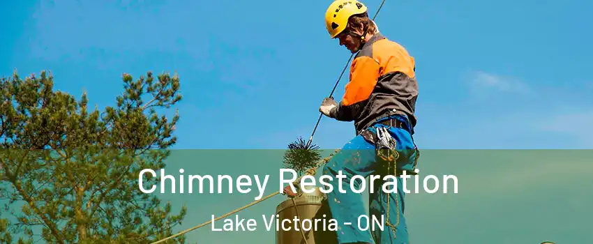  Chimney Restoration Lake Victoria - ON