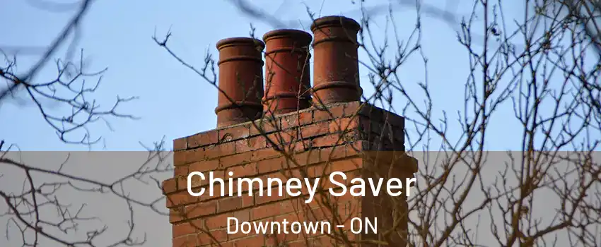  Chimney Saver Downtown - ON