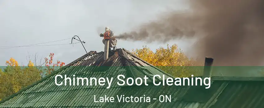  Chimney Soot Cleaning Lake Victoria - ON