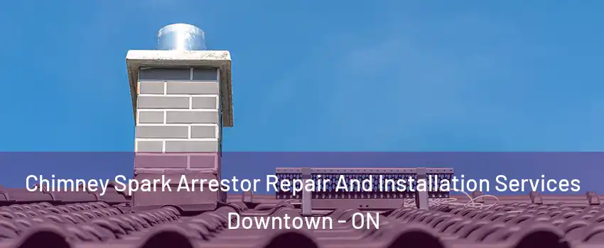  Chimney Spark Arrestor Repair And Installation Services Downtown - ON