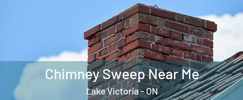  Chimney Sweep Near Me Lake Victoria - ON