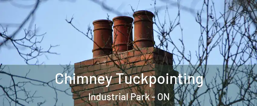  Chimney Tuckpointing Industrial Park - ON