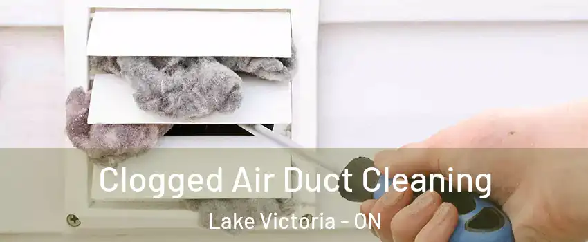  Clogged Air Duct Cleaning Lake Victoria - ON