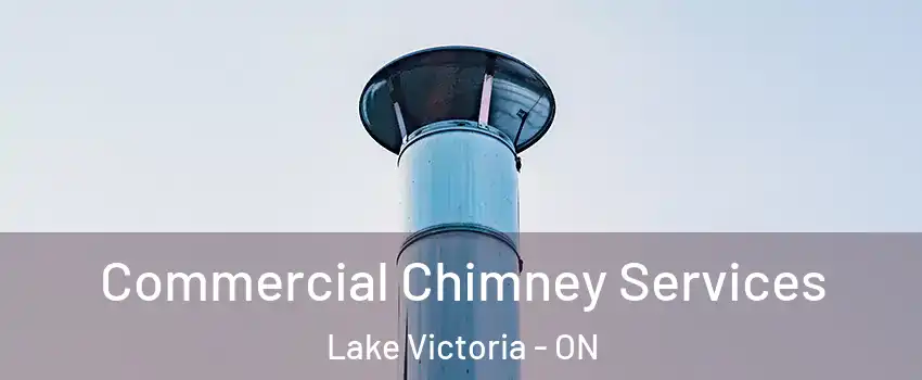 Commercial Chimney Services Lake Victoria - ON