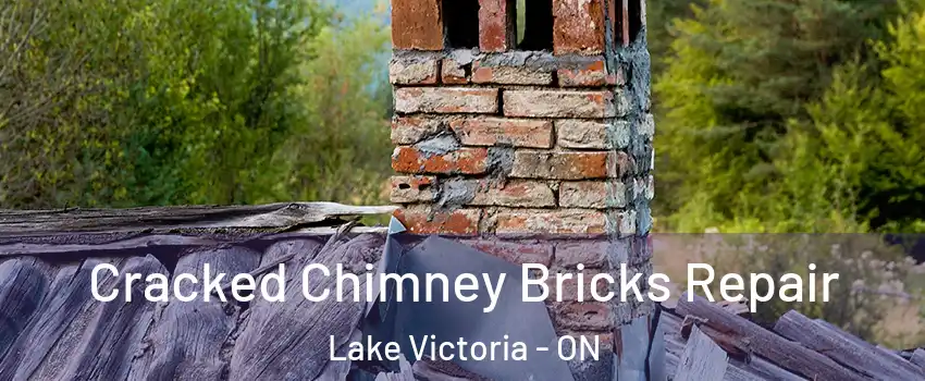  Cracked Chimney Bricks Repair Lake Victoria - ON