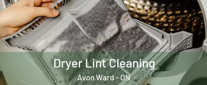  Dryer Lint Cleaning Avon Ward - ON
