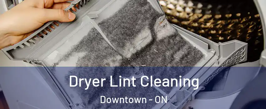  Dryer Lint Cleaning Downtown - ON
