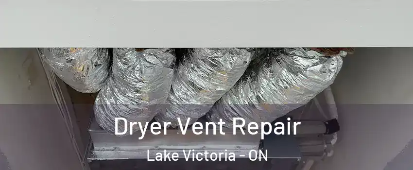  Dryer Vent Repair Lake Victoria - ON