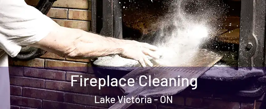  Fireplace Cleaning Lake Victoria - ON