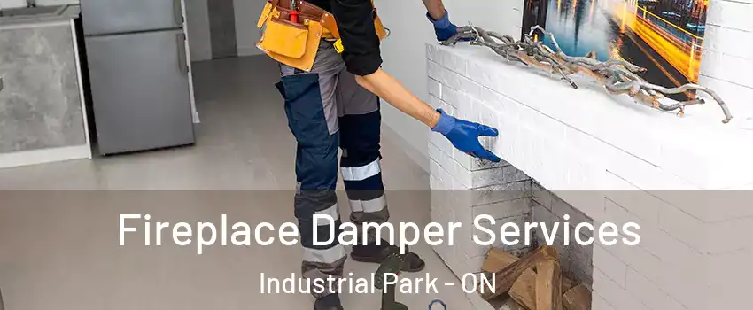  Fireplace Damper Services Industrial Park - ON