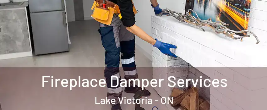  Fireplace Damper Services Lake Victoria - ON