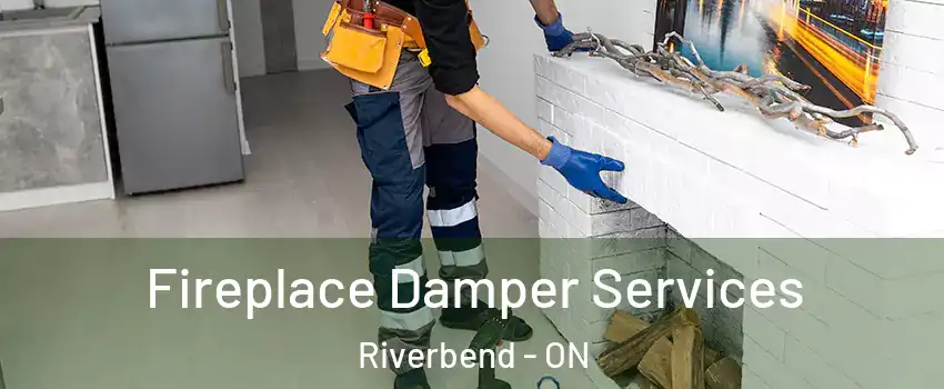  Fireplace Damper Services Riverbend - ON