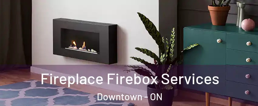  Fireplace Firebox Services Downtown - ON