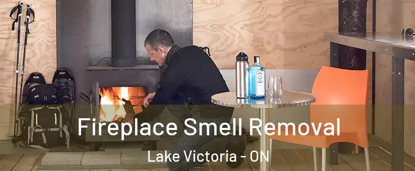  Fireplace Smell Removal Lake Victoria - ON