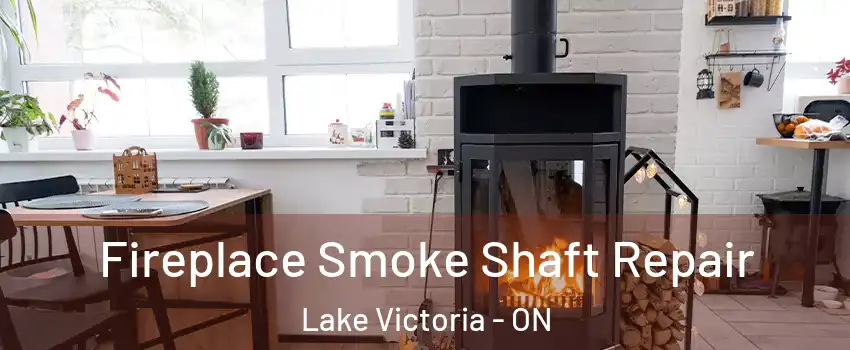  Fireplace Smoke Shaft Repair Lake Victoria - ON