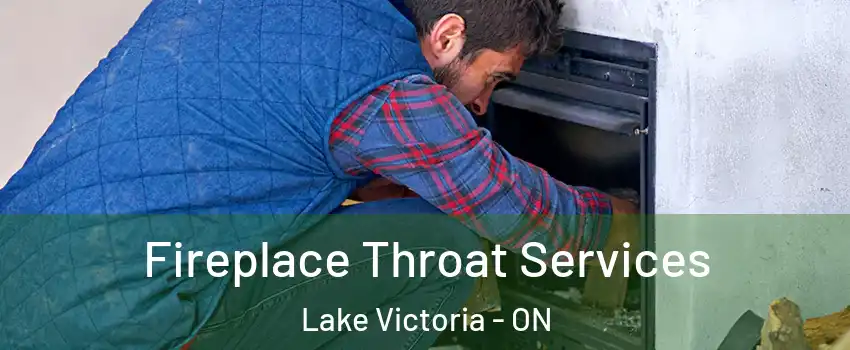  Fireplace Throat Services Lake Victoria - ON