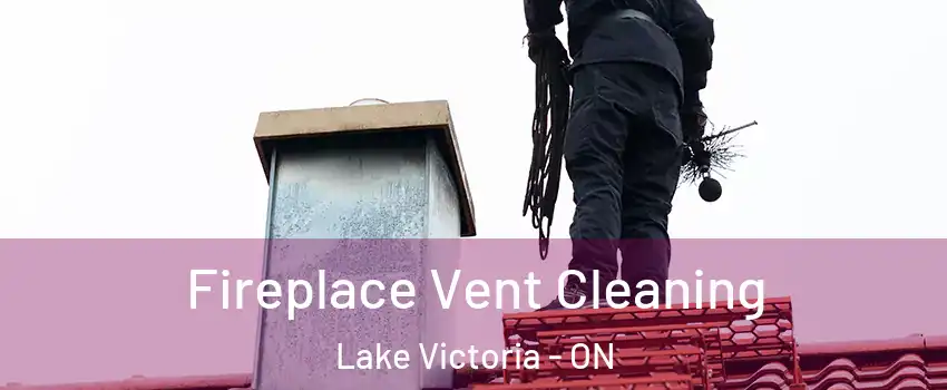  Fireplace Vent Cleaning Lake Victoria - ON