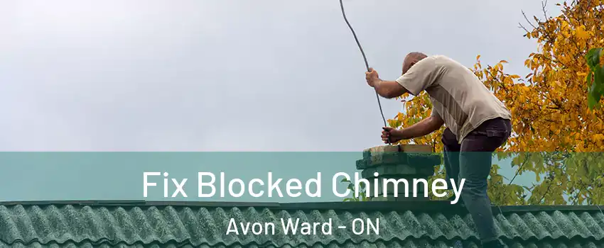  Fix Blocked Chimney Avon Ward - ON