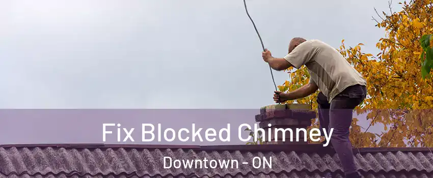  Fix Blocked Chimney Downtown - ON
