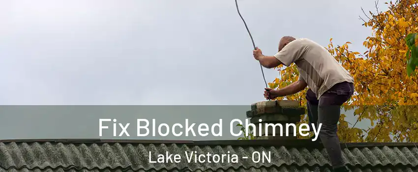  Fix Blocked Chimney Lake Victoria - ON